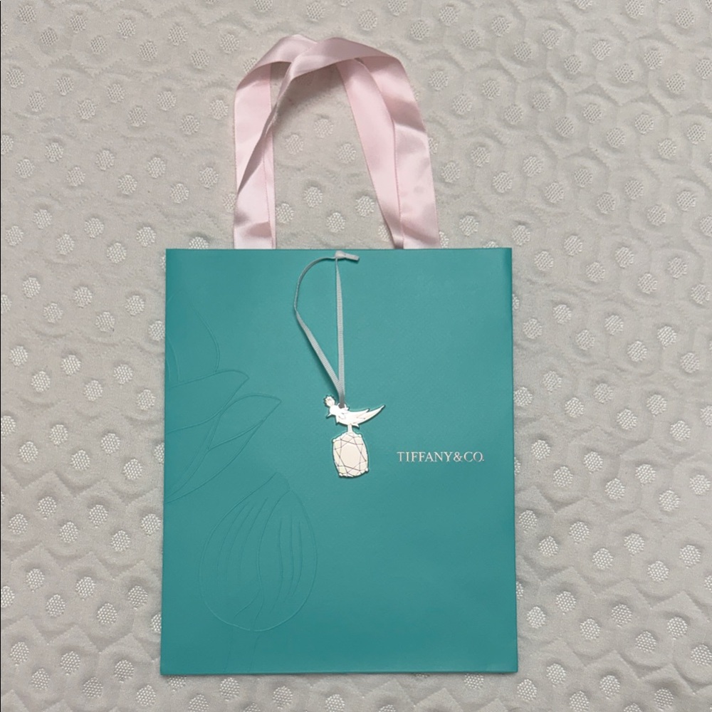 Tiffany & Co. Teal Bag with Pink Ribbon Handles and bird tag